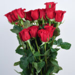 Red Roses Bouquet