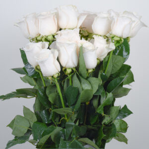 White Roses Bouquet