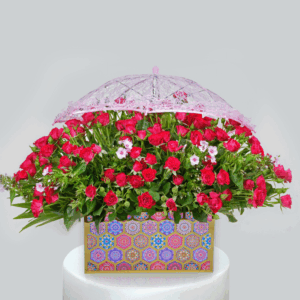 Red & Pink Rose Box