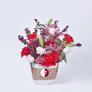 Memory of Celebration