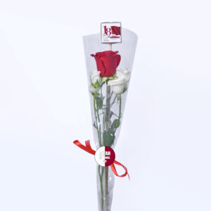 Single Red Rose with Chocolate