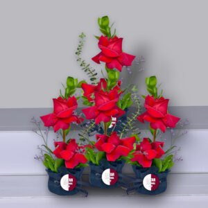 Order of Celebration