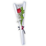 Single Red Rose