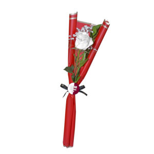 Single White Rose