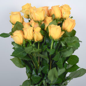 20 Yellow Roses
